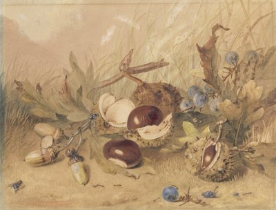 Stilleven met eikels en paardenkastanjes door English School